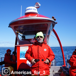 voir les baleines avec un capitain expert, indispensable pour une sortie réussite.